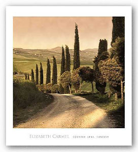 Country Lane, Tuscany by Elizabeth Carmel