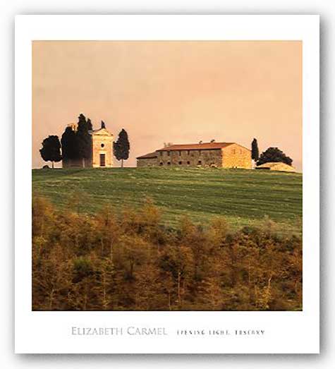 Evening Light, Tuscany by Elizabeth Carmel