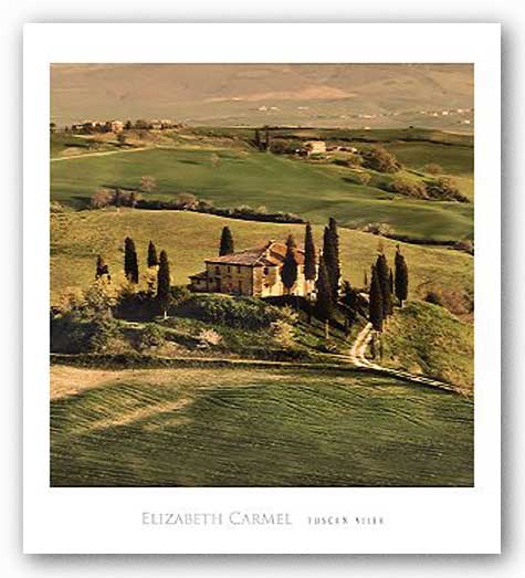 Tuscan Villa by Elizabeth Carmel