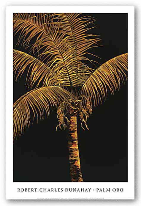 Palm Oro by Robert Charles Dunahay