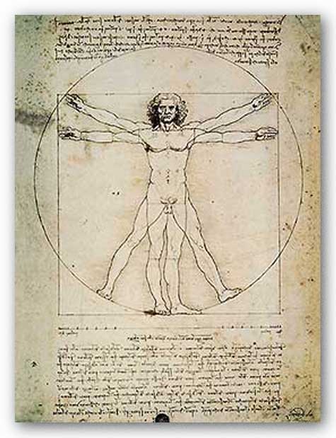 L’Uomo Vitruviano (Vitruvian Man) by Leonardo Da Vinci