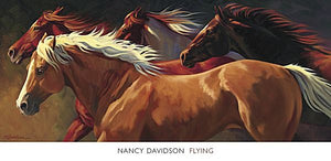 Flying by Nancy Davidson