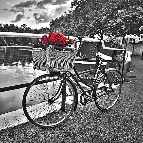 Romantic Roses I by Assaf Frank