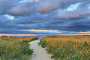 Jetties Beach Path by Katherine Gendreau