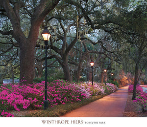 Forsythe Park by Winthrope Hiers