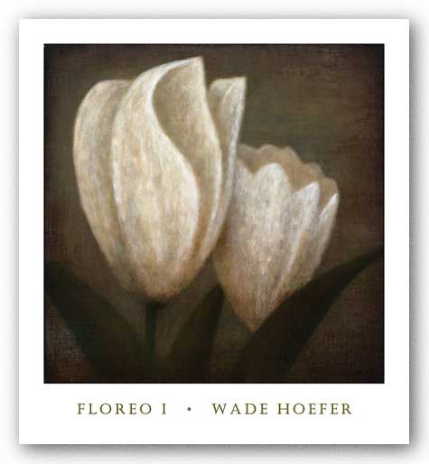 Floreo I by Wade Hoefer