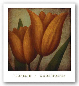 Floreo II by Wade Hoefer