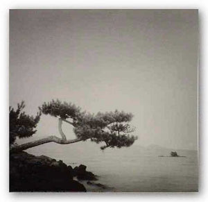 Two Branched Pine, Nakano Umi, Japan 2001 by Rolfe Horn