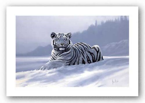 Siberian Tiger by Spencer Hodge