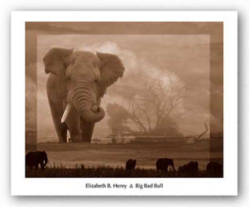 Big Bad Bull by Elizabeth B. Henry
