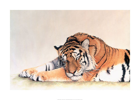 Sleeping Tiger by Jan Henderson