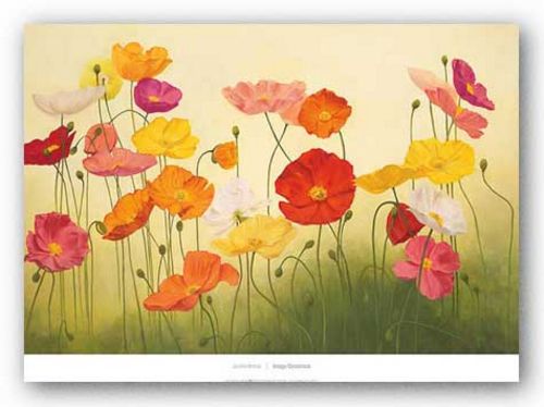 Sunlit Poppies by Janelle Kroner