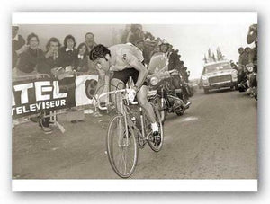 Merckx Dominates by Sports Pressee