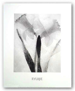 Ice Forms Series - Twins Forever by Ryuijie