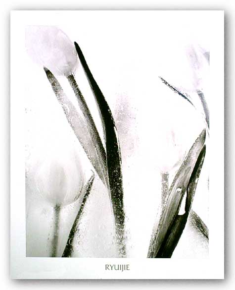 Ice Forms Series - Tulips on Ice by Ryuijie