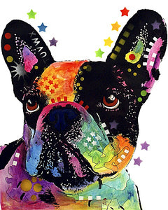 French Bulldog by Dean Russo