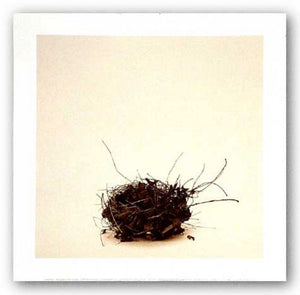 Leeba's Nest by Ruth Silverman