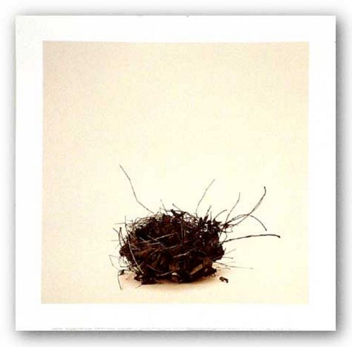 Leeba's Nest by Ruth Silverman