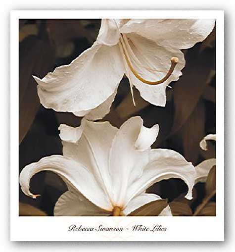 White Lilies by Rebecca Swanson