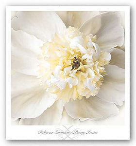 Peony Praise by Rebecca Swanson