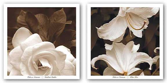 White Lilies and Gardenia Garden Set by Rebecca Swanson