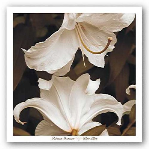 White Lilies by Rebecca Swanson