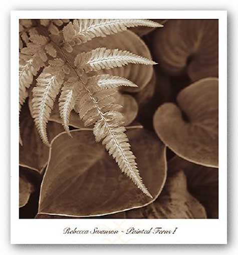 Painted Ferns I by Rebecca Swanson
