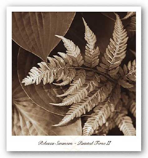 Painted Ferns II by Rebecca Swanson
