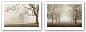 Layers of Trees Set by Igor Svibilsky