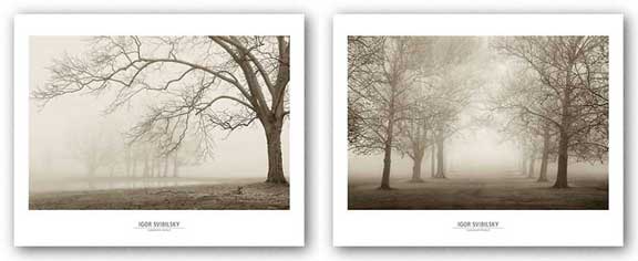 Layers of Trees Set by Igor Svibilsky