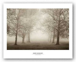 Layers of Trees II by Igor Svibilsky