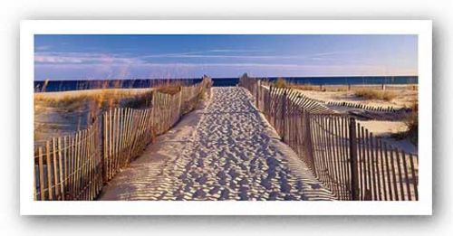 Pathway to the Beach by Joseph Sohm