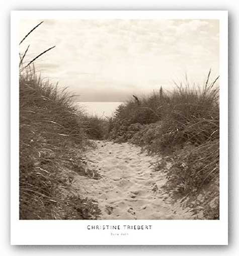 Dune Path by Christine Triebert