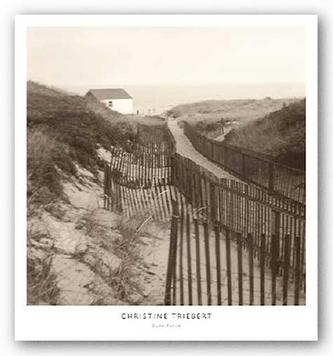 Dune Fence by Christine Triebert