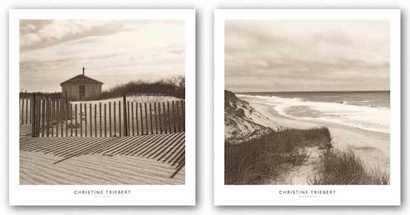 Wellfleet Dune and Dune Shack Set by Christine Triebert