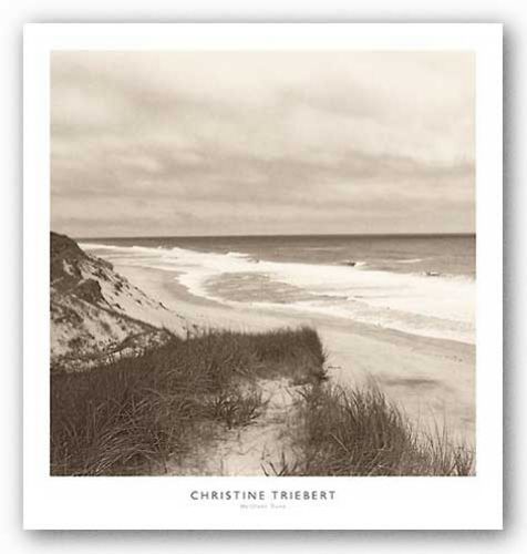 Wellfleet Dune by Christine Triebert