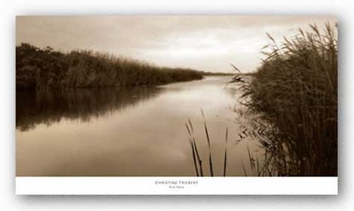 River Reeds by Christine Triebert