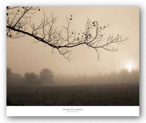 Parish Hill Sunrise by Christine Triebert