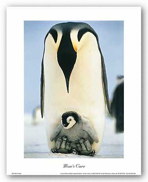 Mom's Care (Penguins)