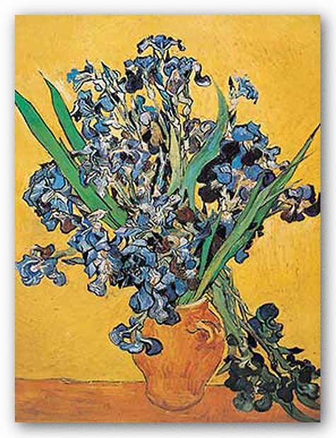Les Iris by Vincent Van Gogh