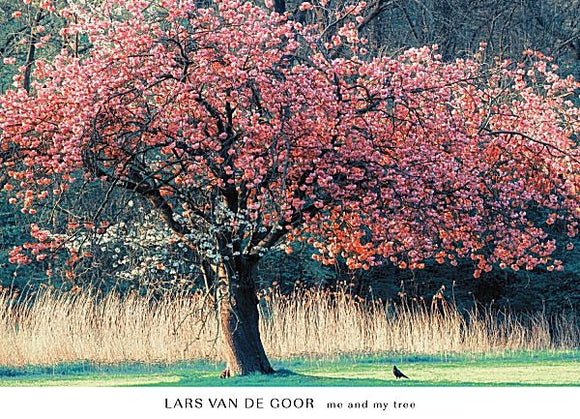 Me and My Tree by Lars Van de Goor