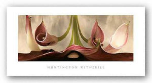 Calla Lilies #11 by Huntington Witherill