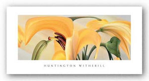 Lilies #14 by Huntington Witherill