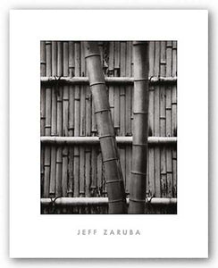 Bamboo and Wall by Jeff Zaruba