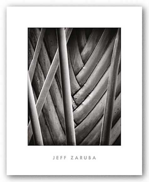 Palm Pattern by Jeff Zaruba
