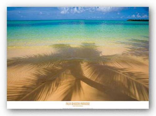 Palm Shadow Paradise by Jim Zuckerman