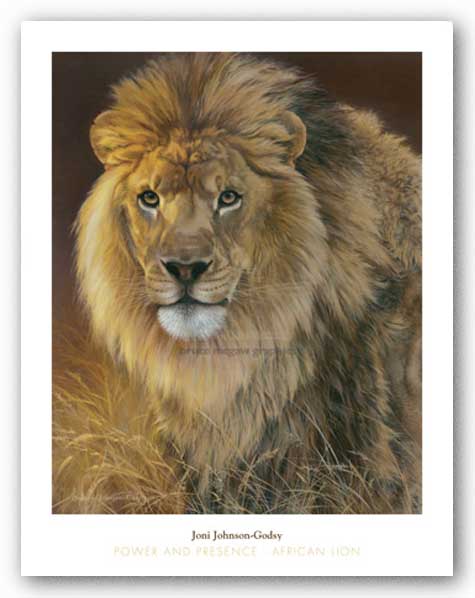 Power and Presence - African Lion by Joni Johnson-Godsy