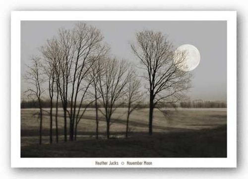 November Moon  by Heather Jacks