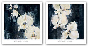 Shadow Orchids Set by Liz Jardine