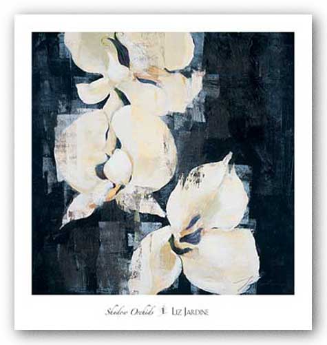 Shadow Orchids II by Liz Jardine